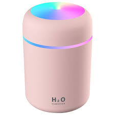 H2O Humidifier™